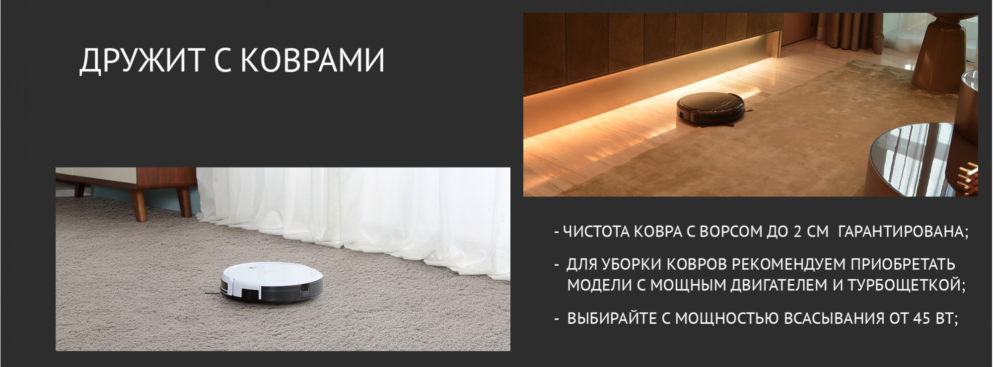 Дружит с коврами